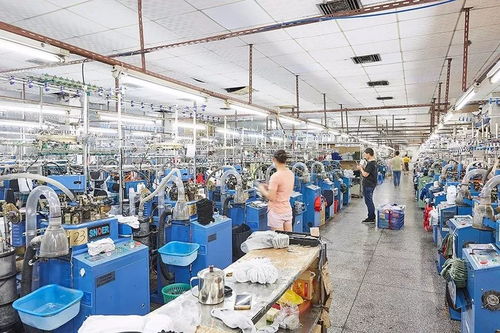 襪子的誕生 揭開(kāi)泰昂運(yùn)動(dòng)襪生產(chǎn)的神秘面紗