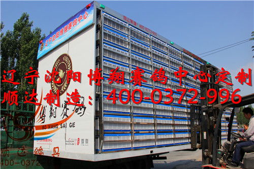 遼寧沈陽博翔賽鴿中心定制 訓(xùn)放籠 賽鴿集裝箱 歐式放飛籠產(chǎn)品展示