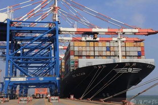 剛剛,廈門曬出上半年經(jīng)濟(jì) 成績單 這些數(shù)據(jù)亮了