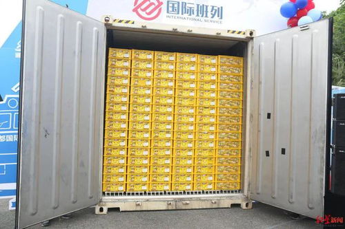 成都,在 雙向奔赴 里鏈接世界