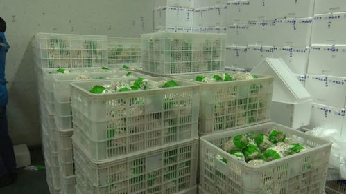 省直機關(guān)支援隊為我縣企業(yè) 牽線搭橋 擴(kuò)寬產(chǎn)品購銷渠道